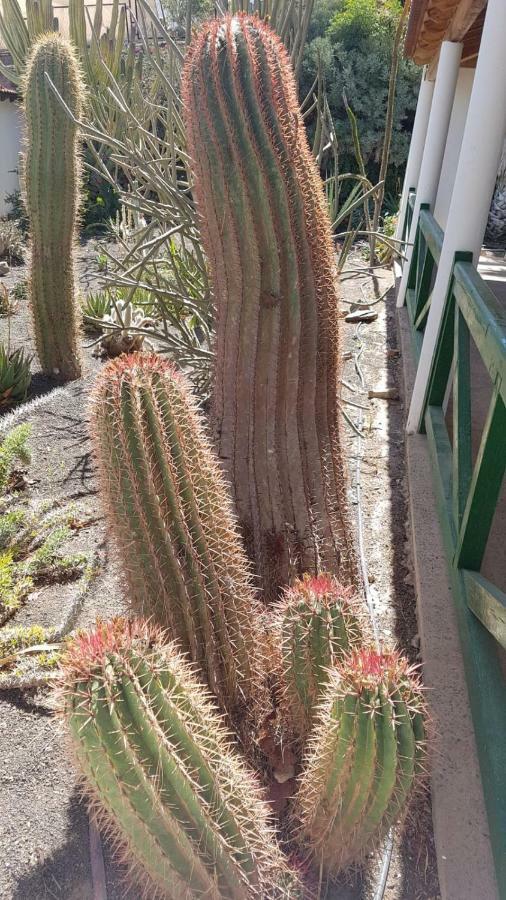 Villa De Cactualdea San Nicolas Luaran gambar